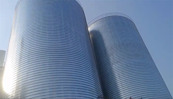 宁化2座混凝土高架卷板仓